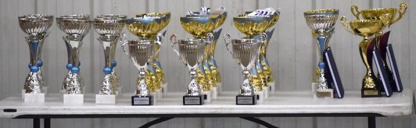 Trophées des championnats de pétanque jeunes à Josselin